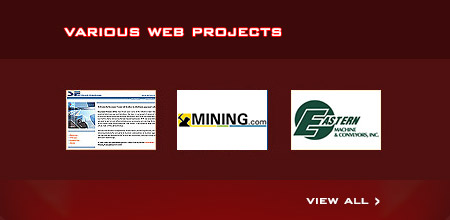 Various Web Projects